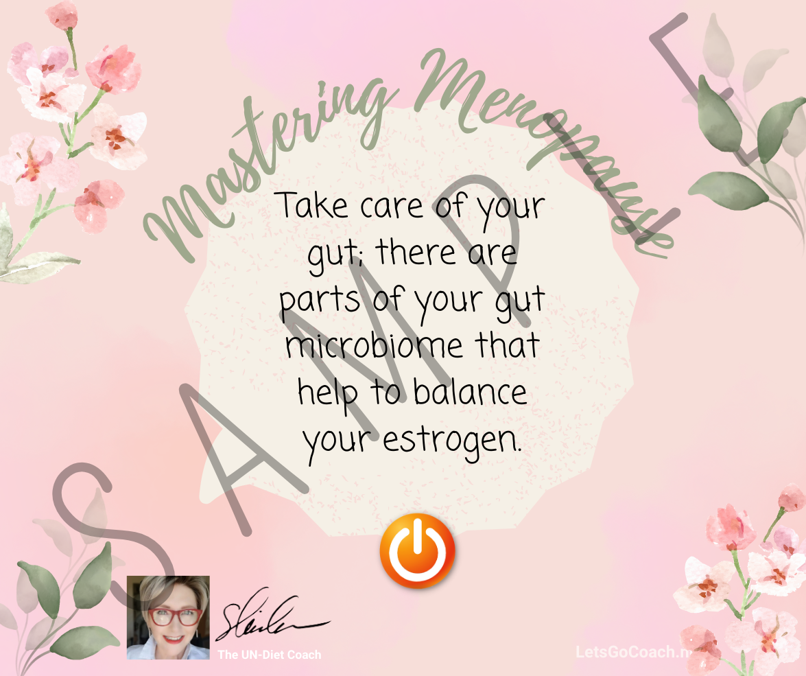 Mastering Menopause – 30 Customizable Instagram and Facebook Infographics